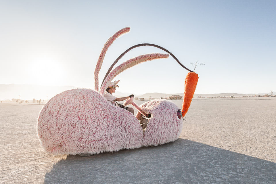 Ein riesengroßes Kaninchen in der Wüste.