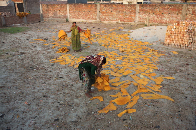 Frauen sammeln zum Trocknen ausgelegtes Leder auf