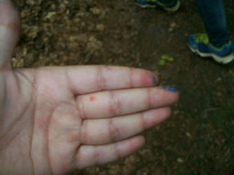 Eine Kinderhand mit Farbflecken vor Waldboden.