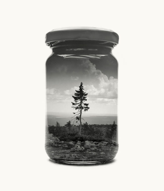 Abbildung eines Marmeladeglases vor hellem Hintergrund auf dem wir einen einzelnen Baum sehen.
