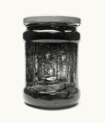 Abbildung eines Marmeladeglases vor hellem Hintergrund, auf dem eine Waldlandschaft zu sehen ist.