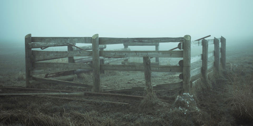 Aufnahme eines alten, kaputten Zaunes auf einer Wiese im Nebel.