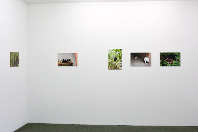 Ansicht einer Raumecke mit fünf Fotografien an der Wand.