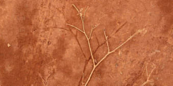 Abdruck eines Zweiges in rotem Sand mit dem Zwei daneben liegend.