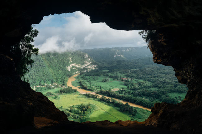 Blick auf einen Wald aus einer Höhle heraus