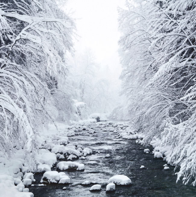 Fluss im Schnee