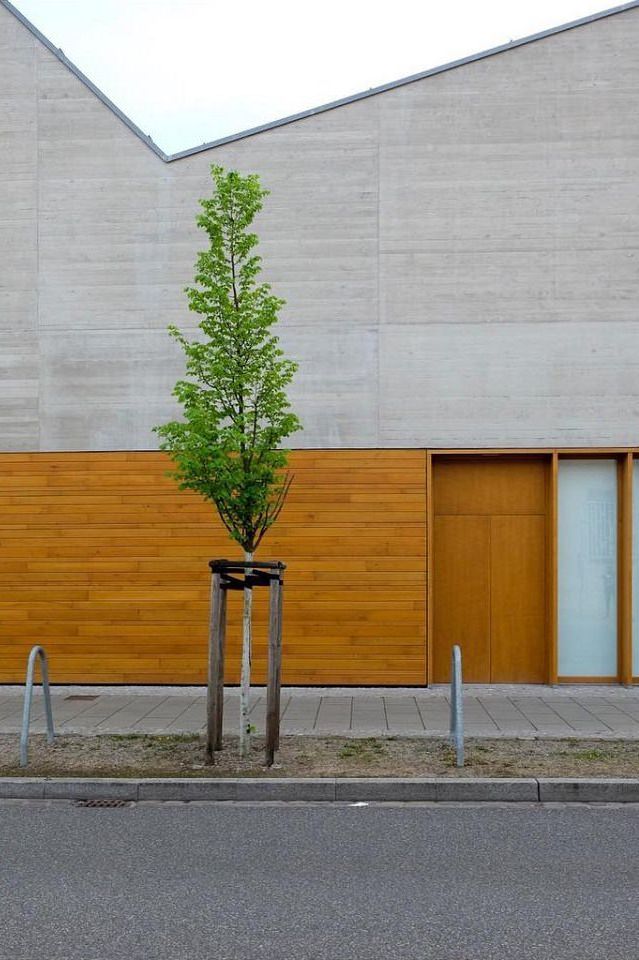Bäumchen an einer Straße vor einem modernen Bau mit minimalistischer Beton- und Holzfassade.