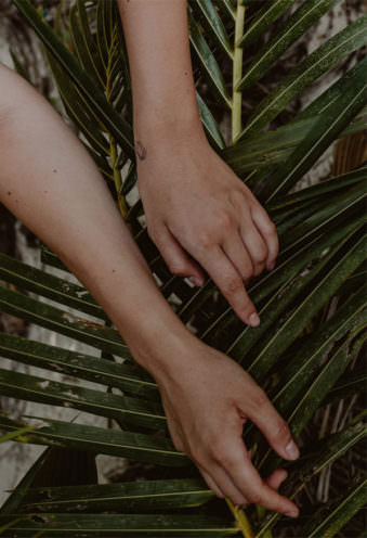 Hände auf einem Palmblatt