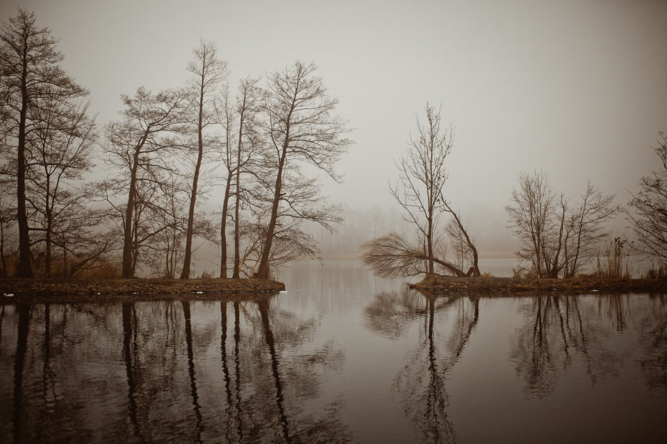 Nebel an einem See