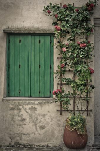 Hauswand mit Rosen