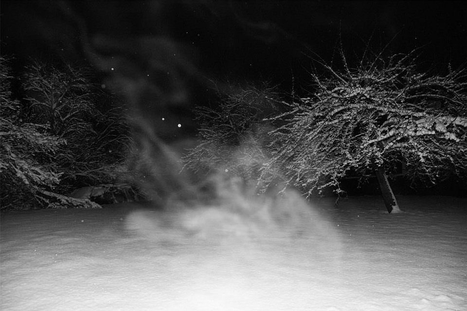 Aufgewirbelter Schnee zwischen Bäumen