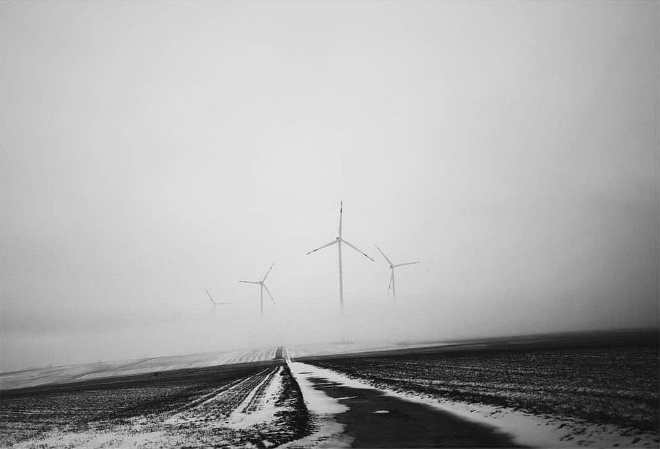 Windräder vor einem Feld im Nebel