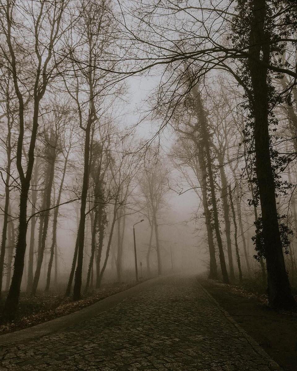 Nebelstraße