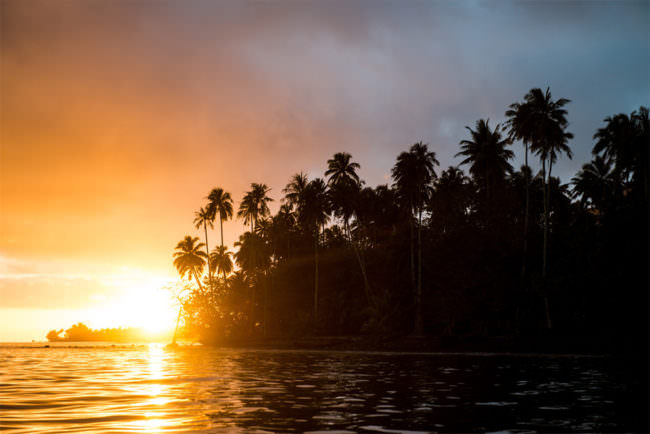 Sonnenuntergang und Palmen