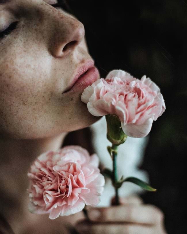 Portrait einer Frau, die sich rosa Nelken ans Gesicht hält