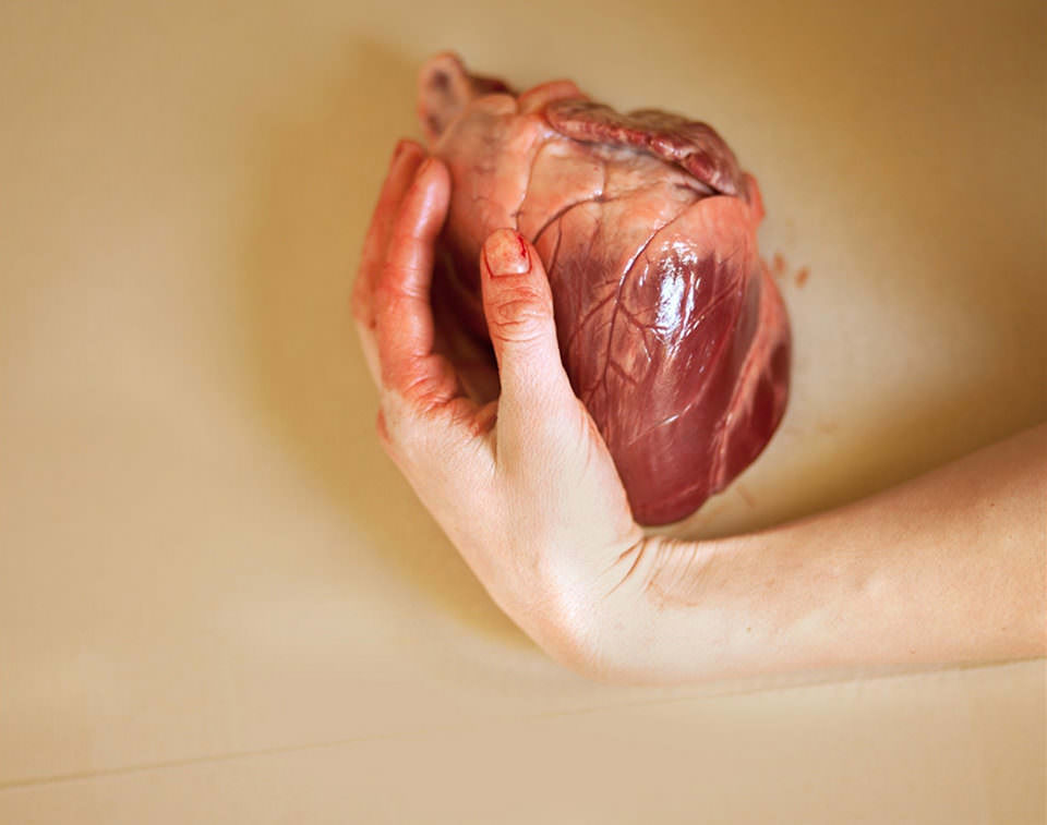 Herz in einer Hand