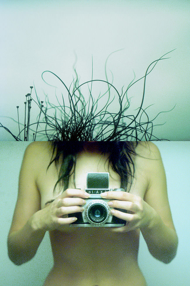 Collage einer Frau mit Kamera und einer Pflanze