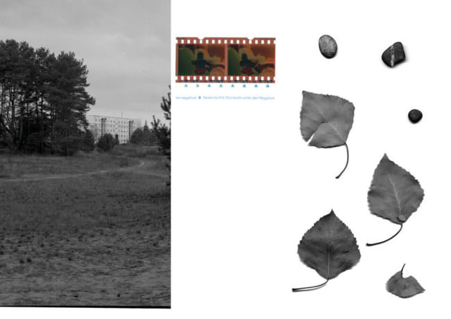 collage mit Fotos, Blättern, Negativen
