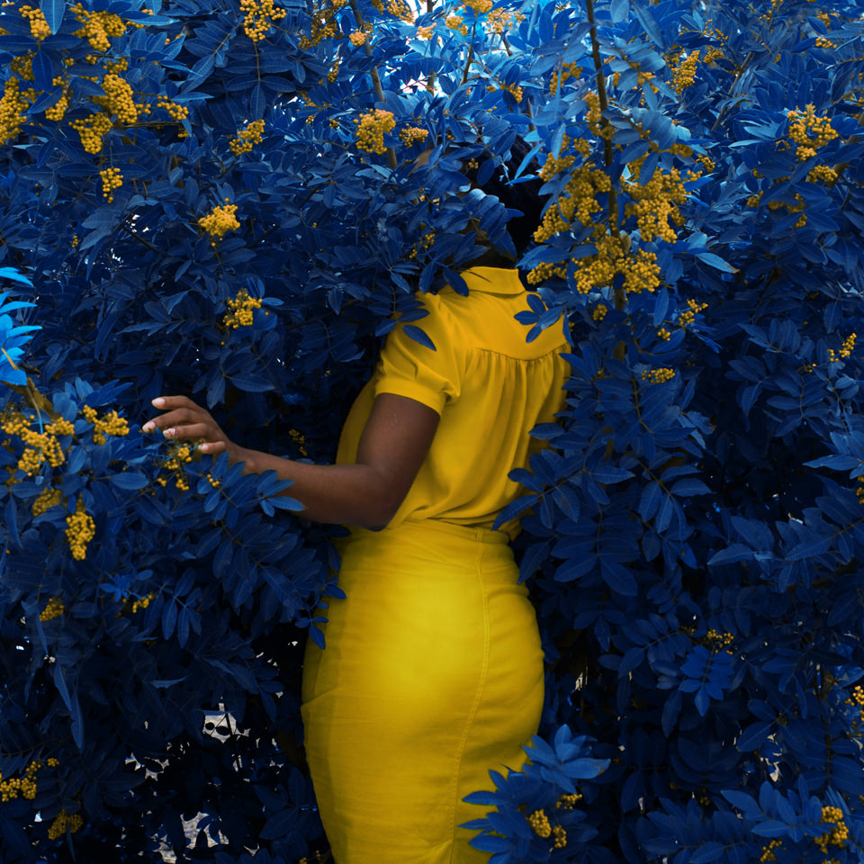 Frau steht in blauem Gebüsch mit gelben Blüten