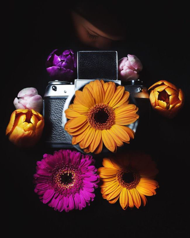 Kamera mit Blumen