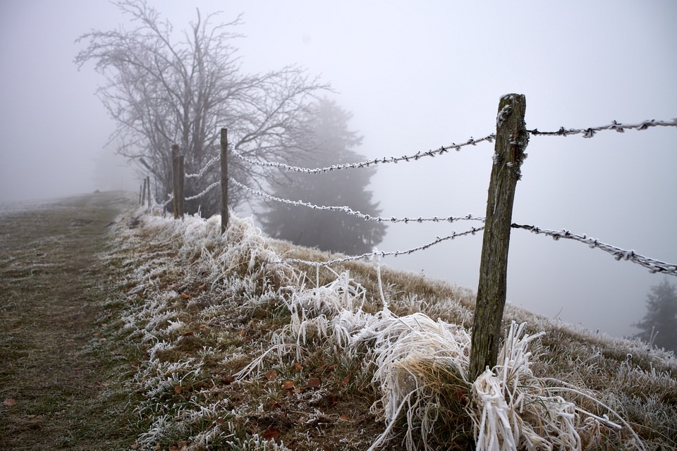 Feldzaun in Frost und Nebel