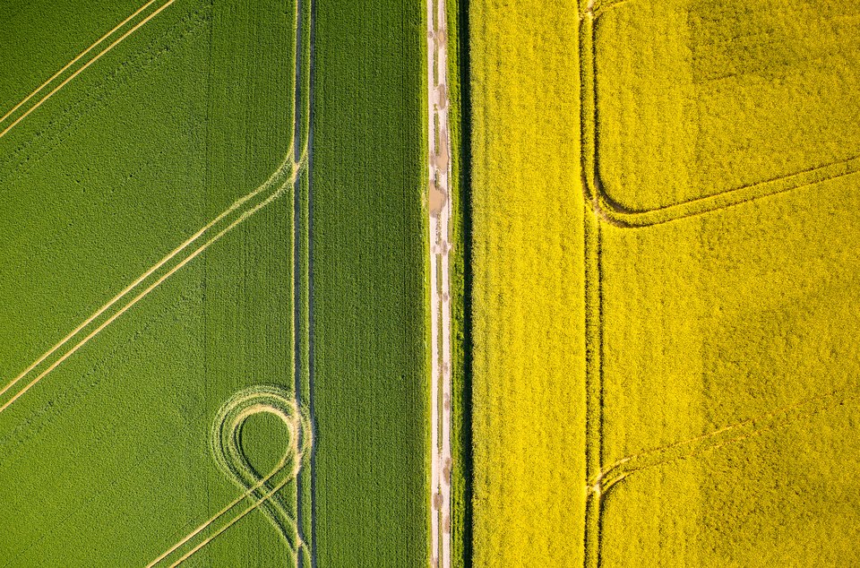 grünes und gelbes Feld