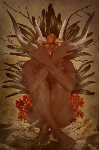 digitale Collage: Körper mit Blüten und Hörnern