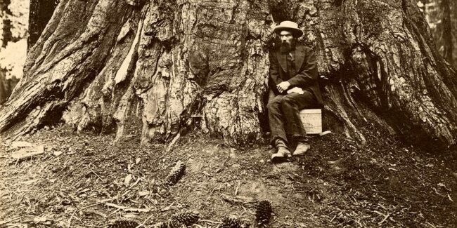 Mann sitzt am Fuß eines großen Baumstamms