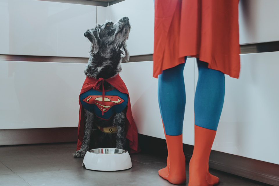 Superman füttert einen Hund