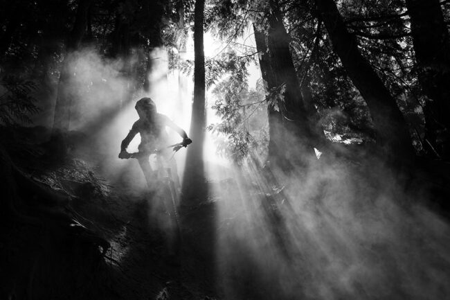 Radfahrer im Nebel im Wald