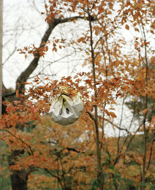 Luftballon mit Smiliegesicht liegt schlaff in einem Baum