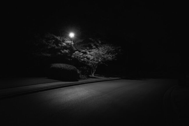 Baum und Laterne in der Nacht