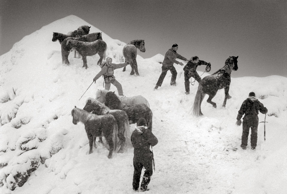 Menschen und Pferde im Schnee