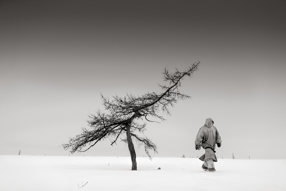 Person im Schnee vor einem Baum