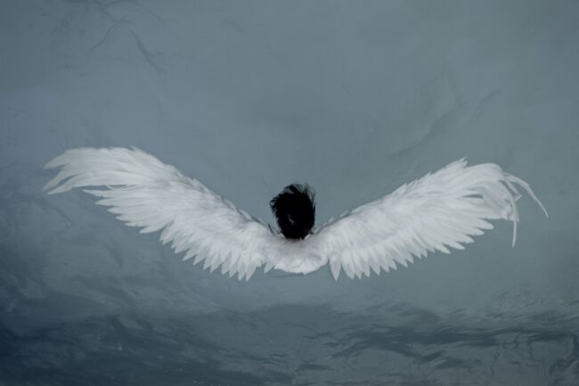 Person mit weißen Flügeln im Wasser