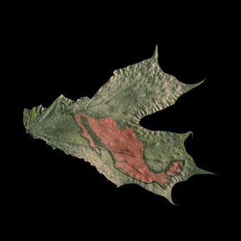 Chlorophylldruck einer Landkarte auf ein gepresstes Laubblatt
