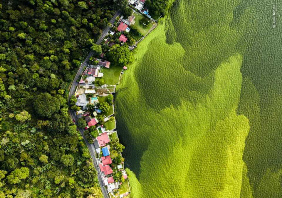 Drohnenfoto auf einen grünen See