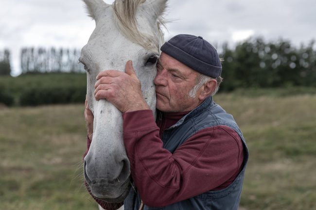 Person umarmt Pferd