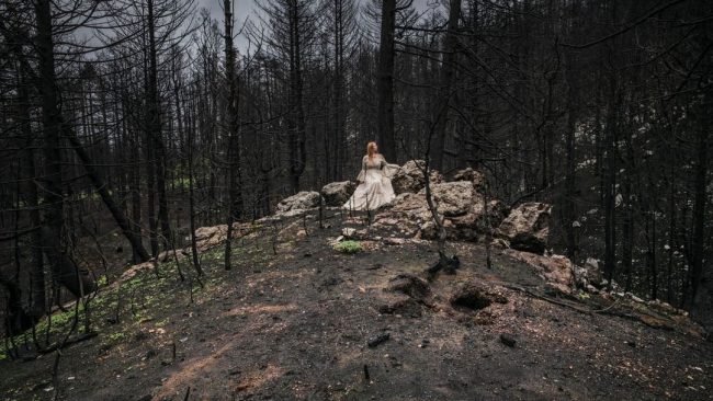 Frau in langem, hellem Kleid in verbrannter Landschaft mit schwarzen Bäumen.