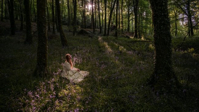 Frau in langem, hellem Kleid sitzt zwischen Blüten auf dem Waldboden, durch Bäume scheinen Sonnenstrahlen.